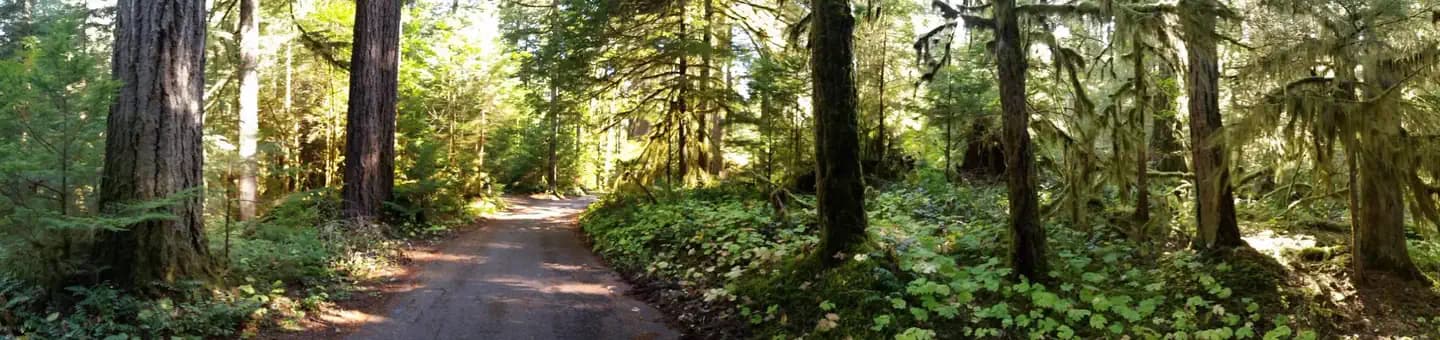 Iron Creek Campground campground in Washington