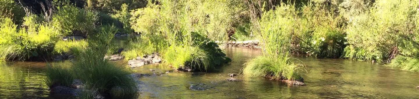 SPANISH CREEK CAMPGROUND campground in California