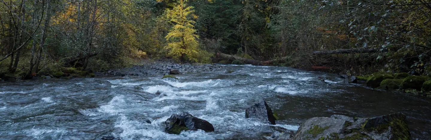 Panther Creek campground campground in Washington