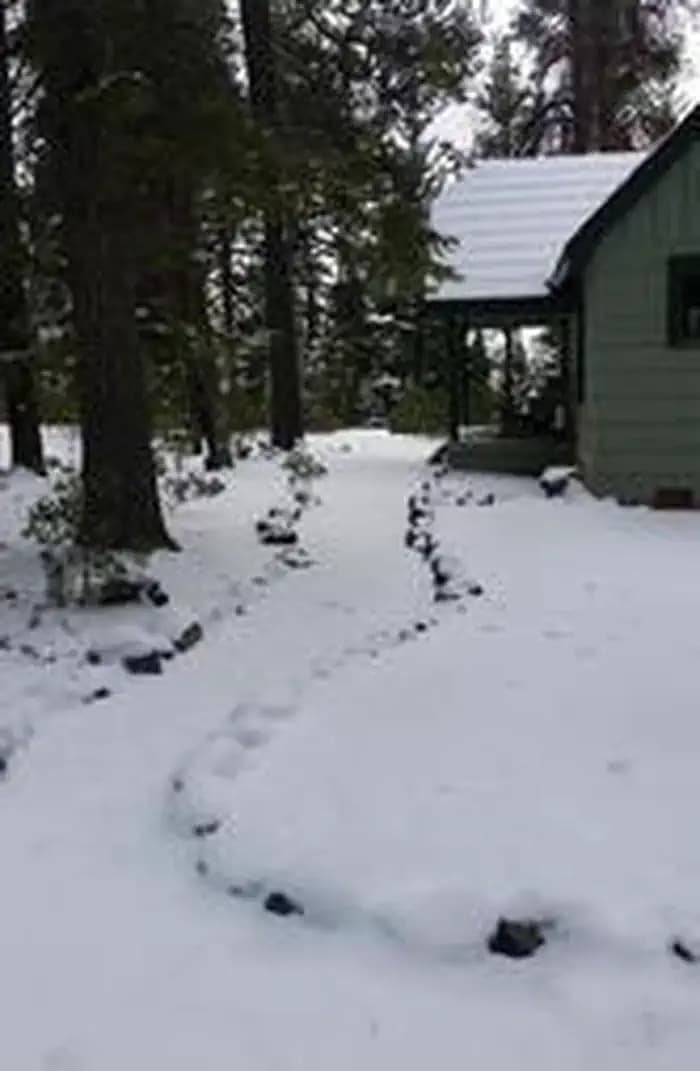 CRESCENT LAKE GUARD STATION campground in Oregon