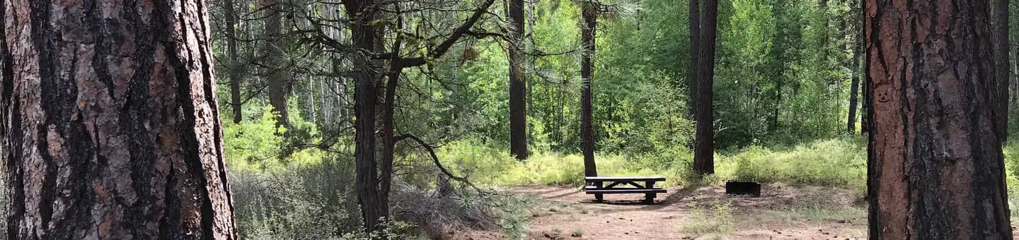 INDIAN FORD CAMPGROUND campground in Oregon