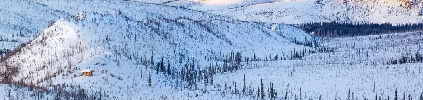 White Mountains National Recreation Area - Alaska Cabins in Alaska