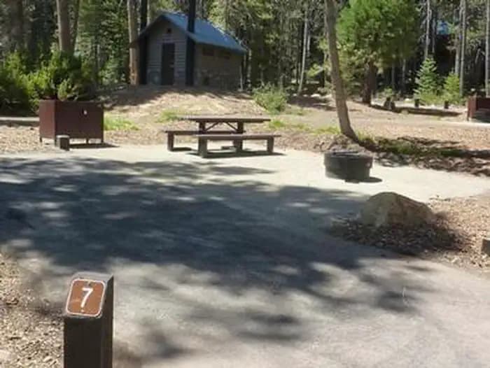 COLLEGE campground in California