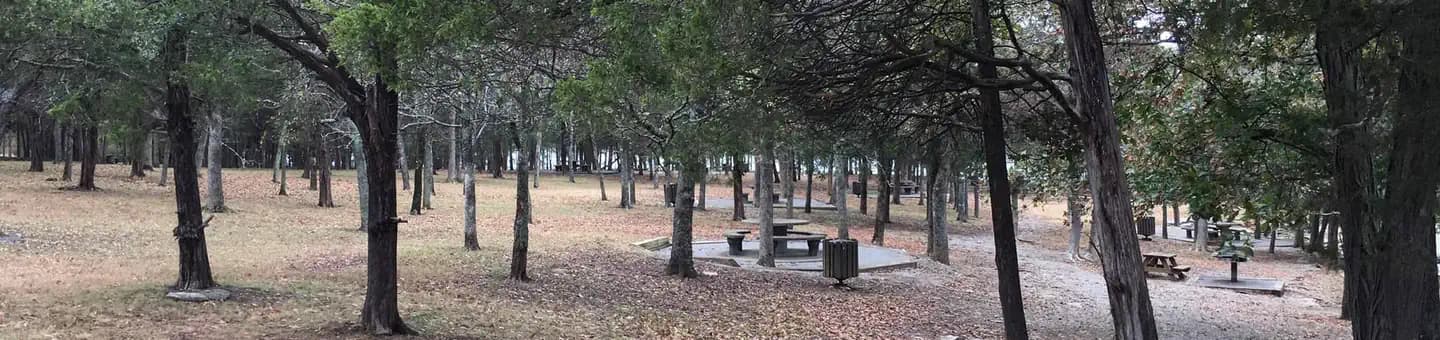 SMITH SPRINGS campground in Tennessee