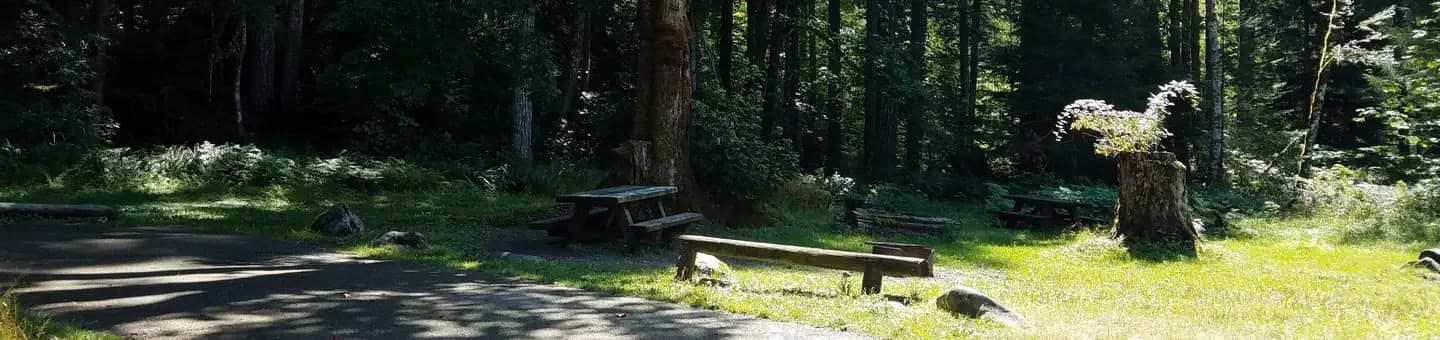 Blue Lake Creek Campground - Gifford Pinchot NF (WA) campground in Washington