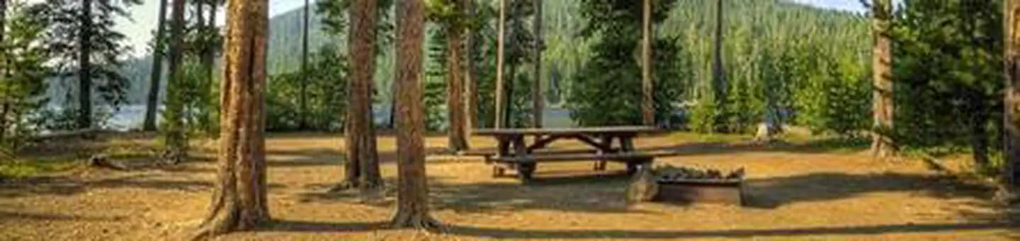 LITTLE CULTUS CAMPGROUND campground in Oregon
