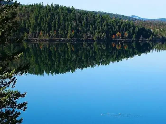 NORTH DICKEY LAKE campground in Montana