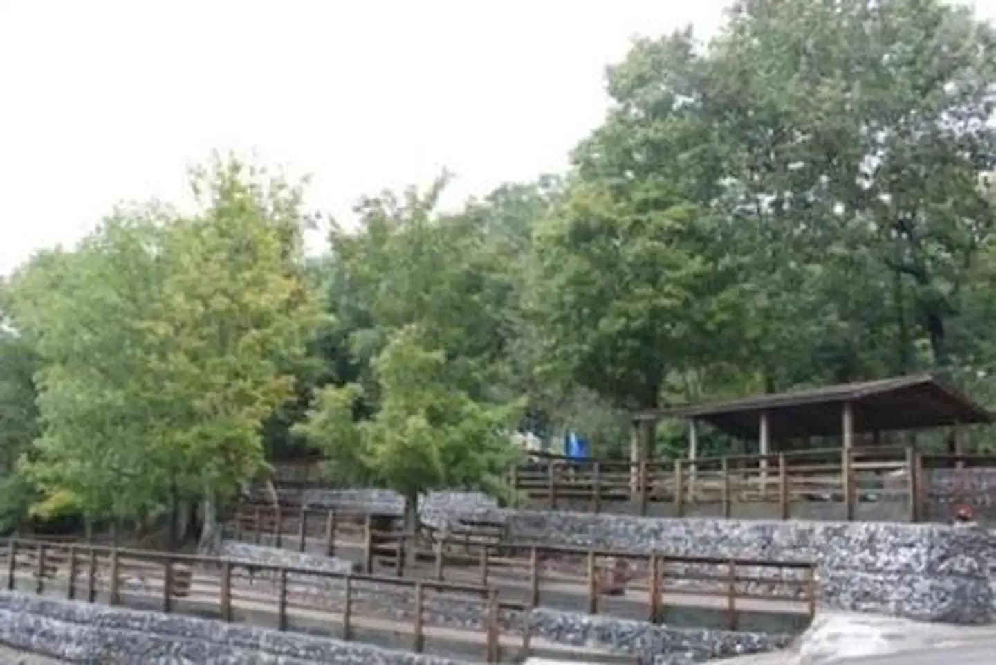 FALL CREEK CAMPGROUND campground in Kentucky