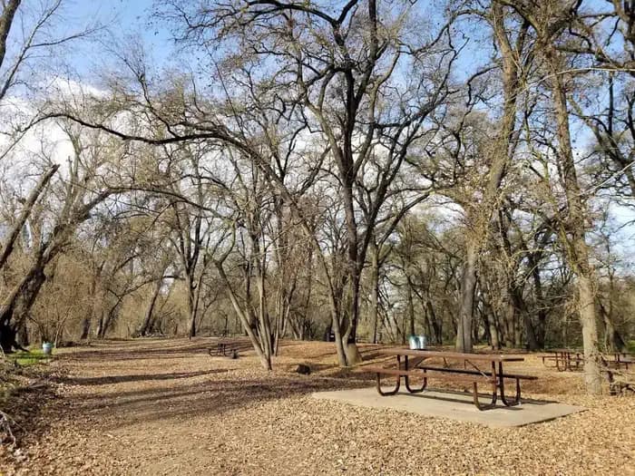 Valley Oak Recreation Area campground in California