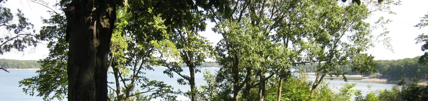 Dam East Picnic Shelter (Shelbyville) Campground in Illinois
