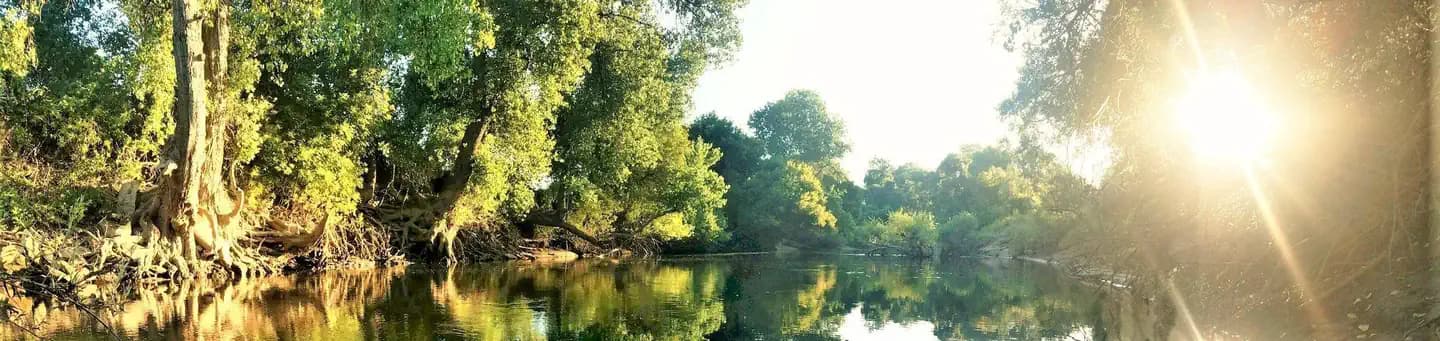 McHenry Avenue Recreation Area in California