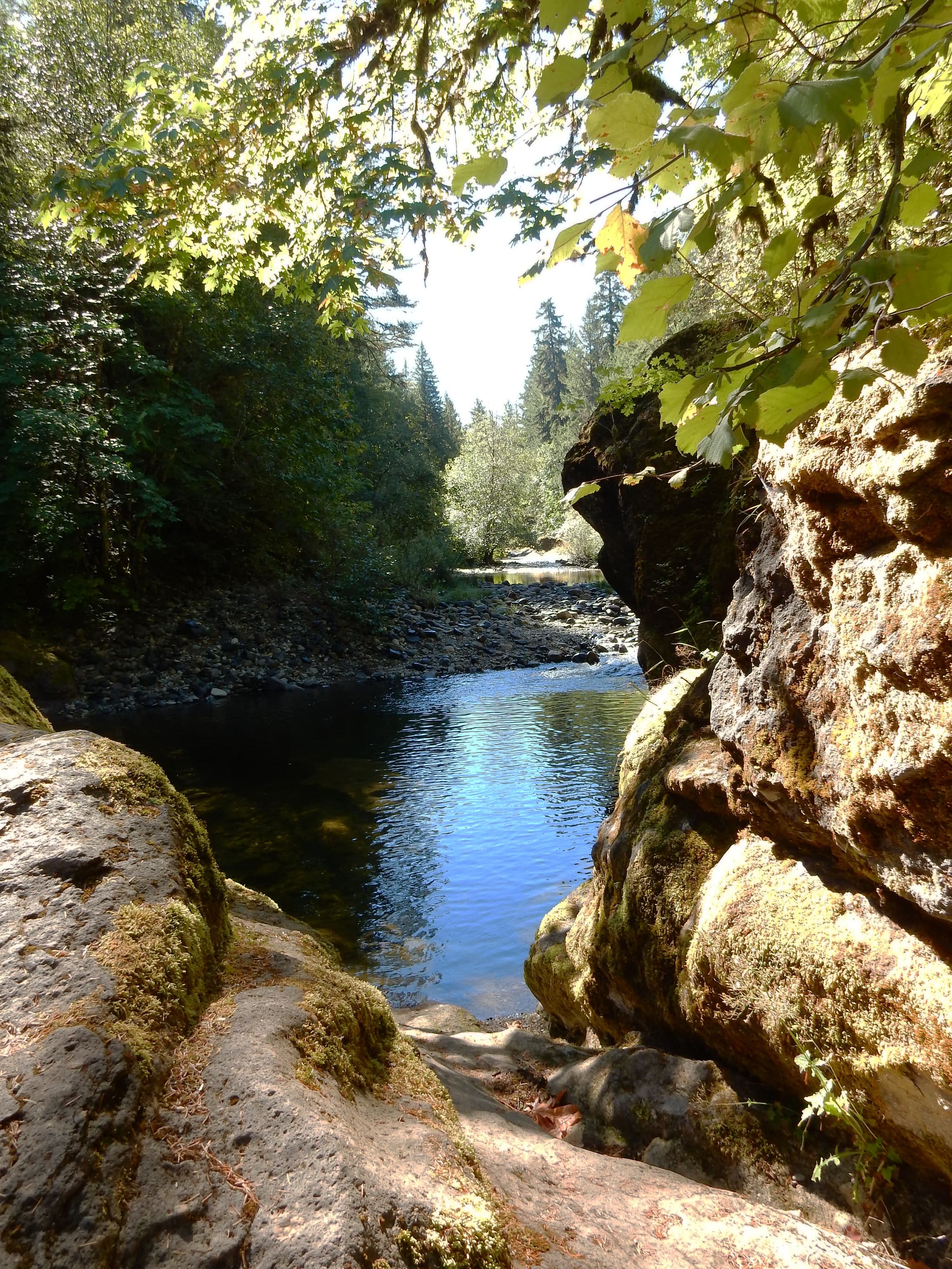 Sharps Creek Recreation Site campground in Oregon