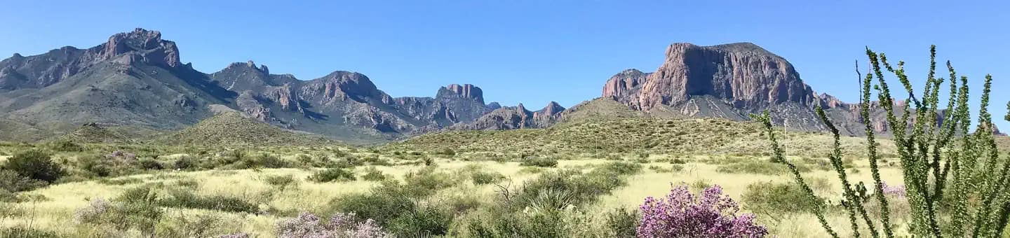 Big Bend Backcountry Camping campground in TEXAS