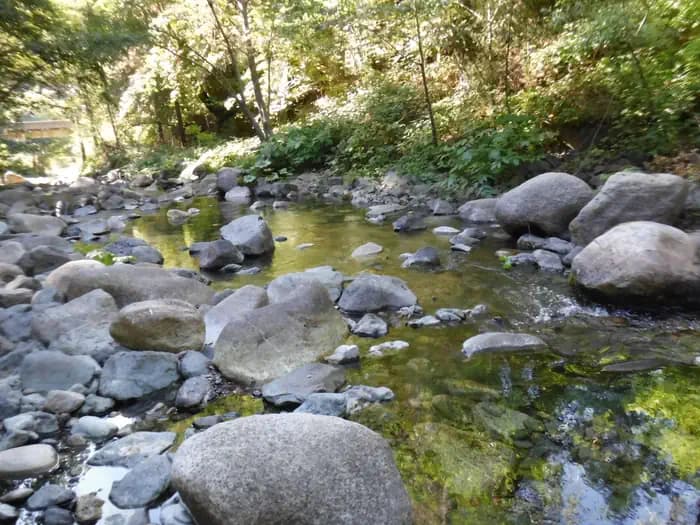 CAL-IDA campground in California