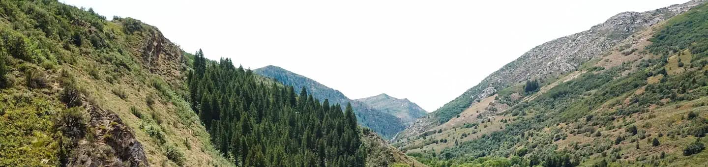 SOUTH FORK (UT) campground in Utah