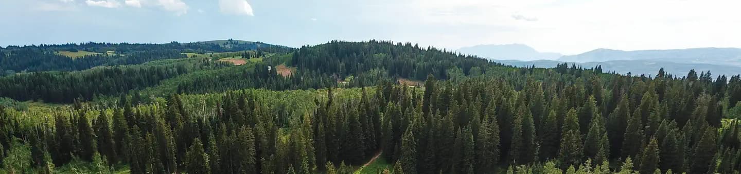 MONTE CRISTO campground in Utah