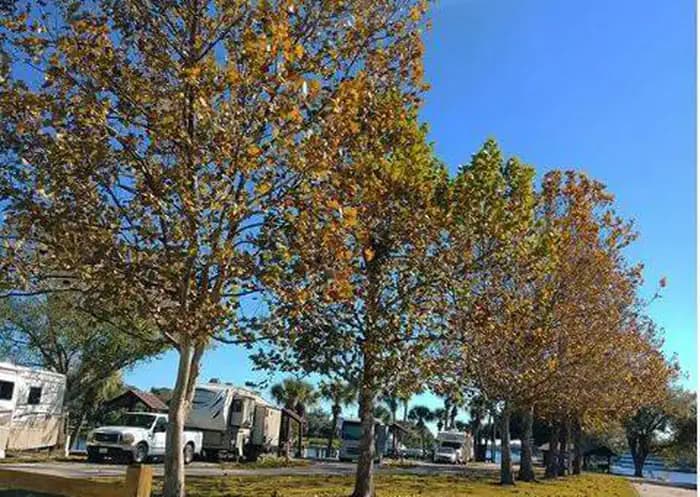 W.P. FRANKLIN N campground in Florida