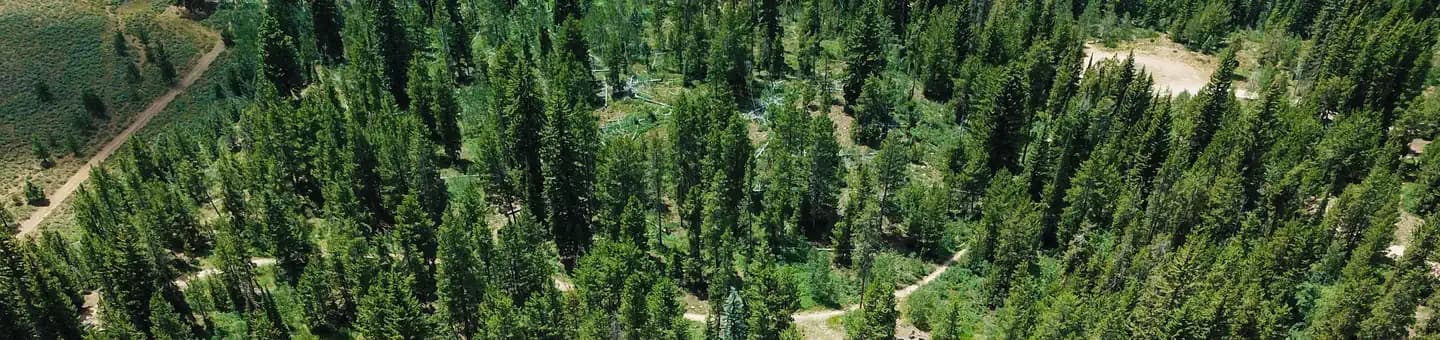 PINE VALLEY NORTH WASATCH CACH campground in Utah