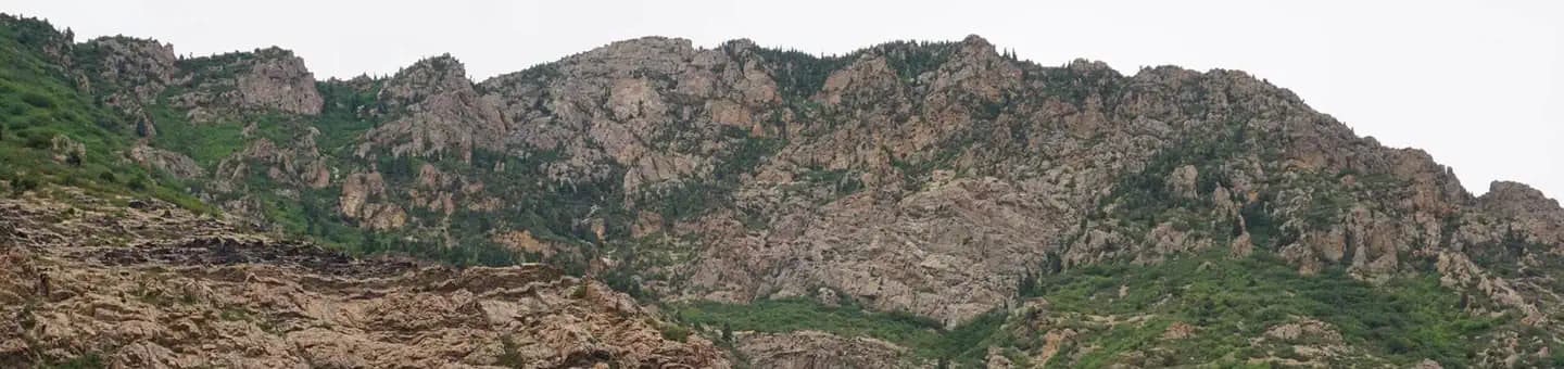 DOGWOOD DAY USE campground in Utah