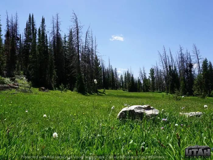 LOST CREEK CAMPGROUND campground in Utah