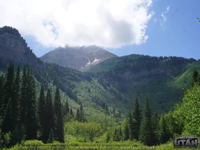 TIMPOONEKE campground in Utah