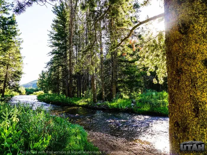 SULPHUR CAMPGROUND campground in Utah