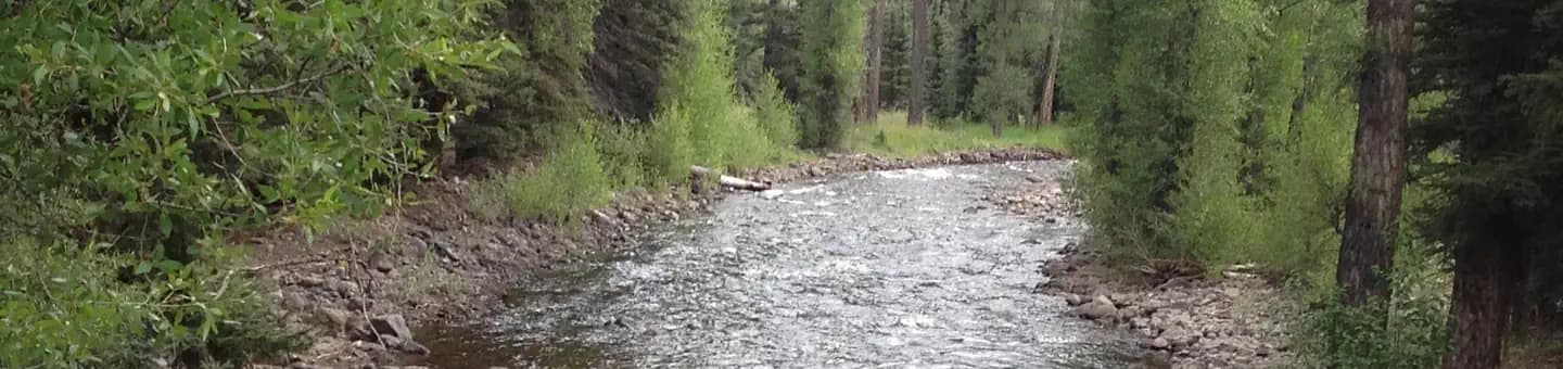 ELK CREEK CAMPGROUND (RIO GRANDE NF) campground in Colorado