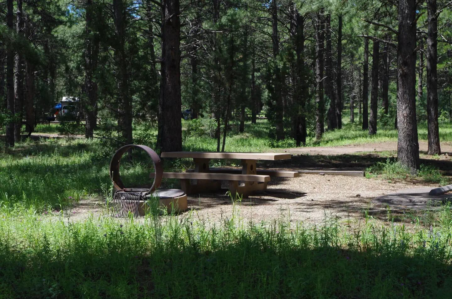 POTATO PATCH CAMPGROUND campground in Arizona