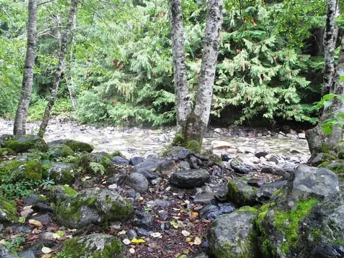 Denny Creek Campground campground in Washington