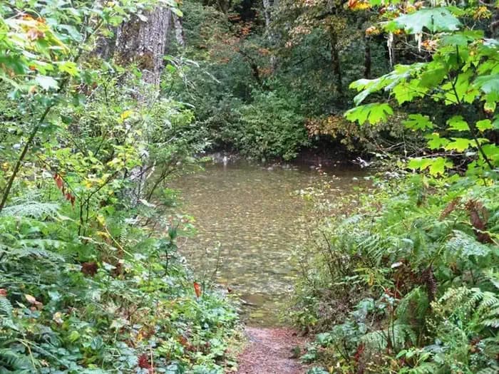 Beckler River Campground campground in Washington