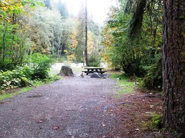 Verlot Campground campground in Washington