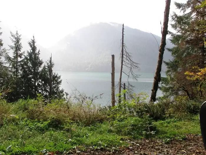 Shannon Creek Campground campground in Washington