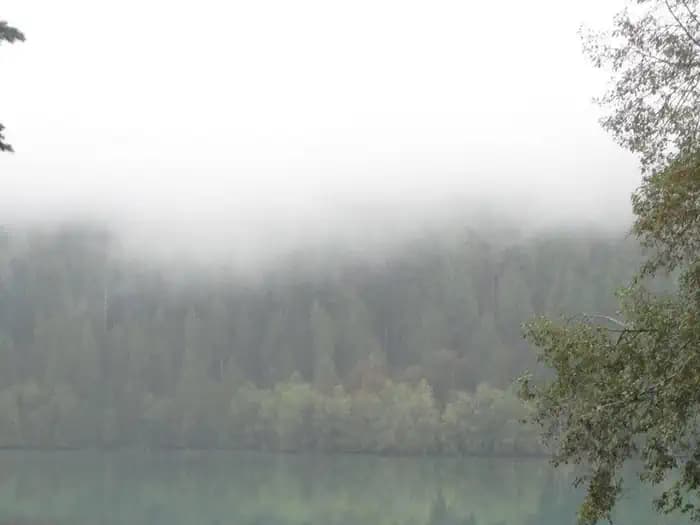 Horseshoe Cove Campground campground in Washington