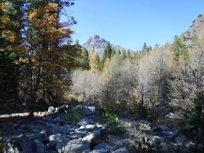 WILD PLUM campground in California