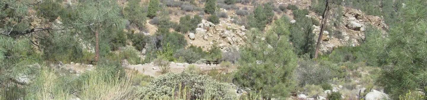 GOLDLEDGE CAMPGROUND campground in California