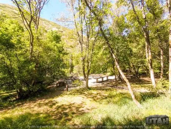 CHERRY campground in Utah