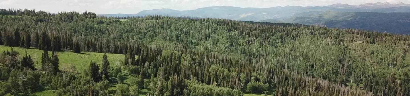 WOLF CREEK (UT) campground in Utah