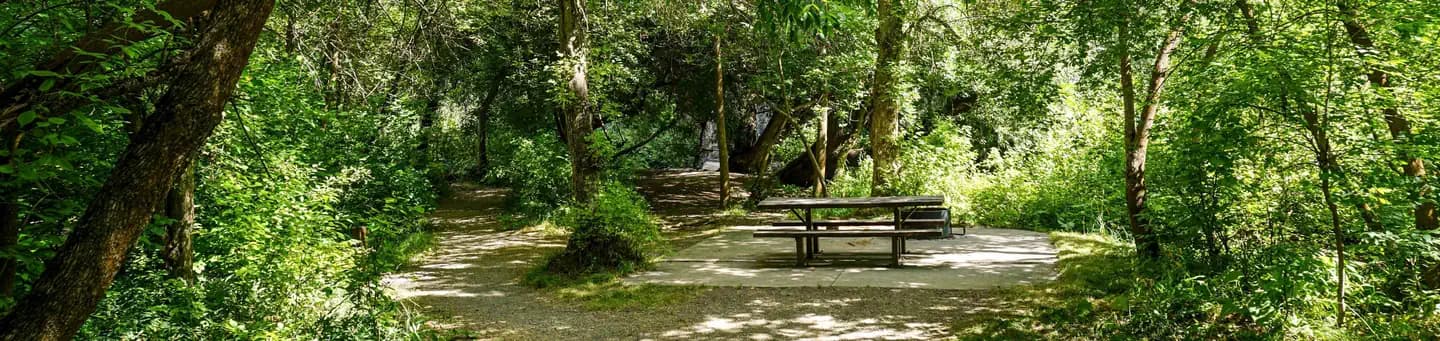 Card Picnic Area in Utah