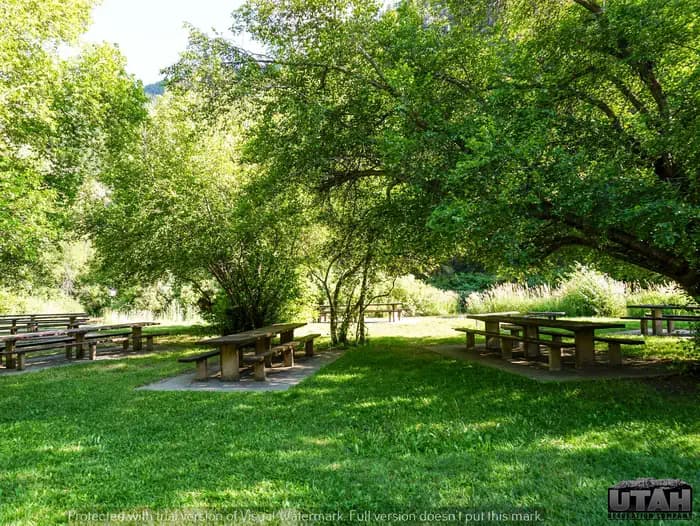 Shenoah Picnic Area in Utah