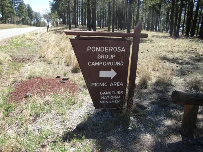 Ponderosa Group Campground (NM) campground in New Mexico