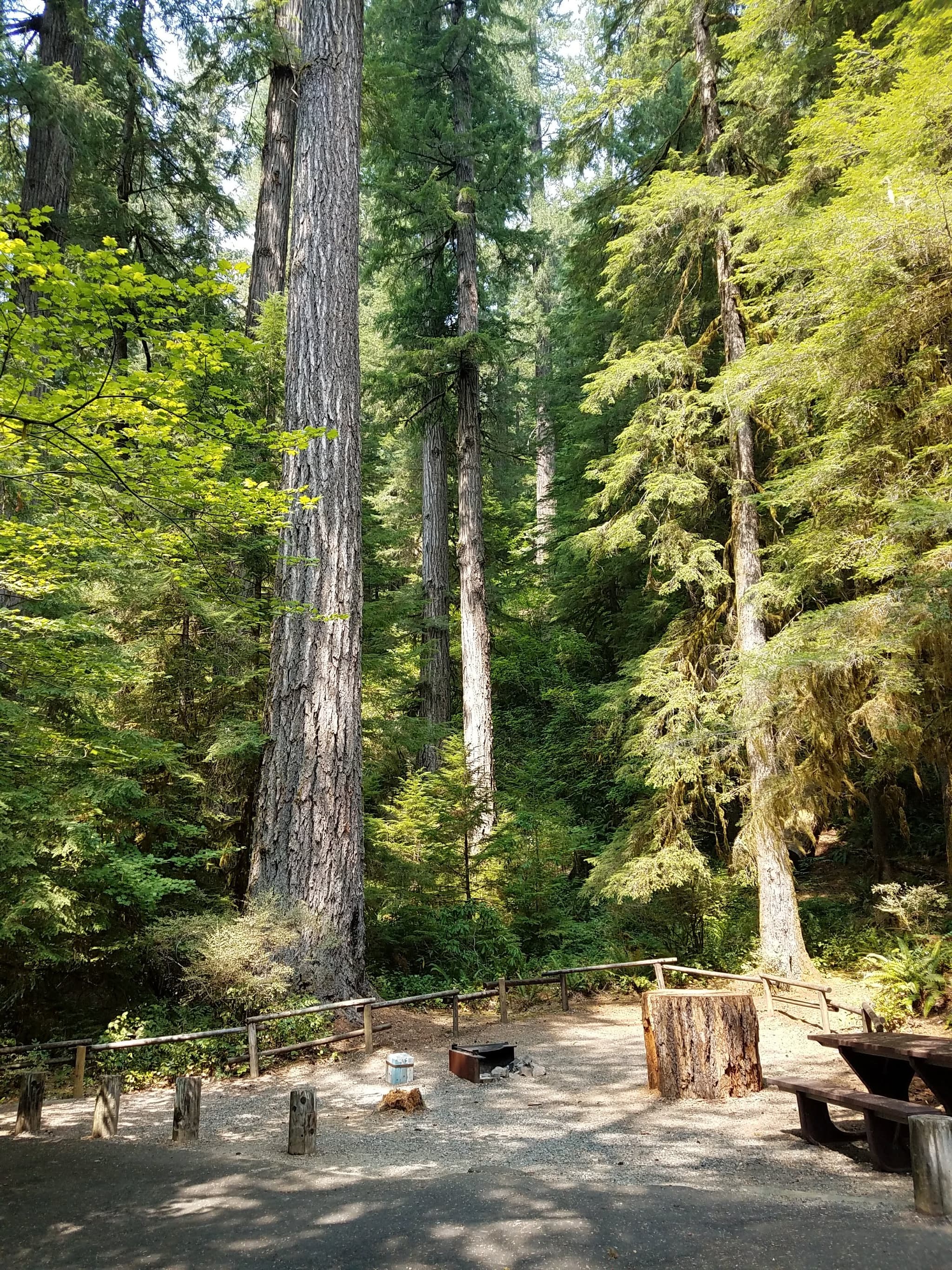 Yellowbottom Recreation Site campground in Oregon