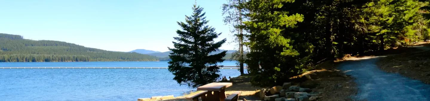 Pine Point (Timothy Lake, OR) campground in Oregon