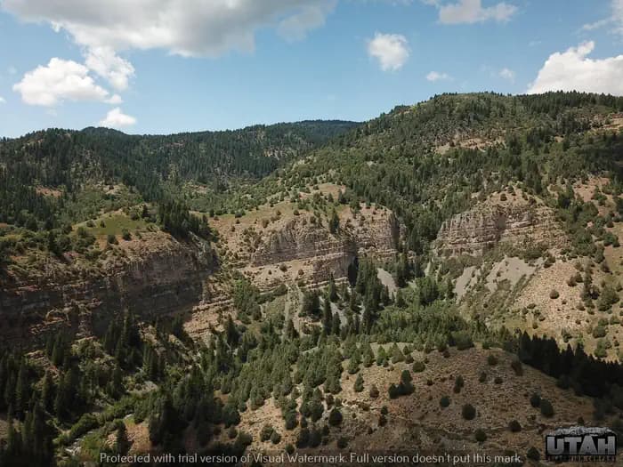 Wood Camp Campground (Ut) in Utah