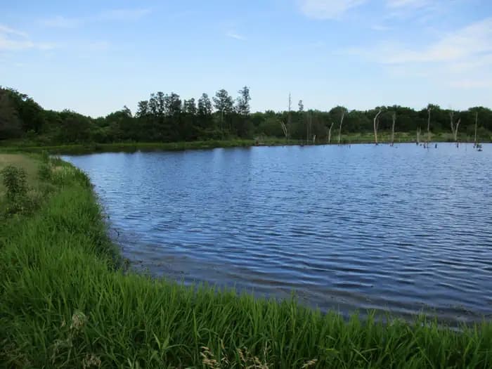 BLUE BILL POINT campground in Oklahoma