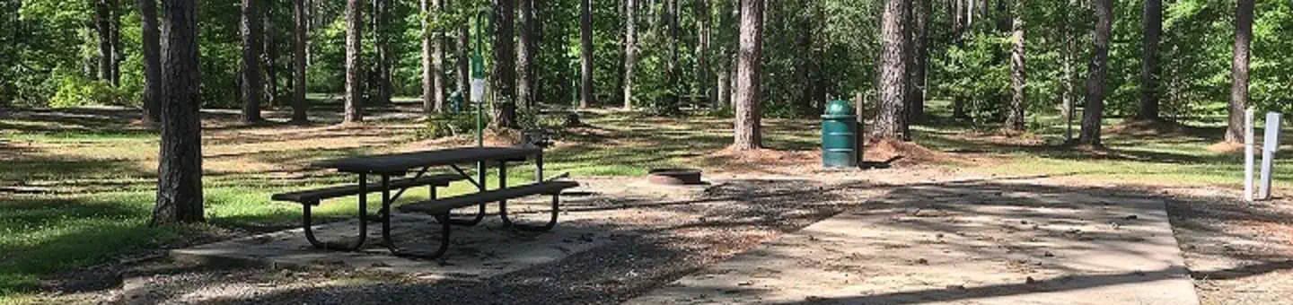 Tom Merrill Recreation Area campground in Louisiana