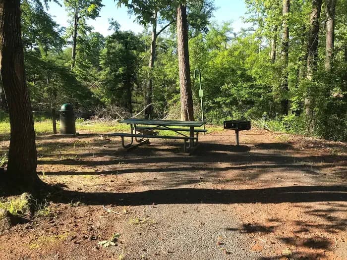 Wenks Landing campground in Louisiana