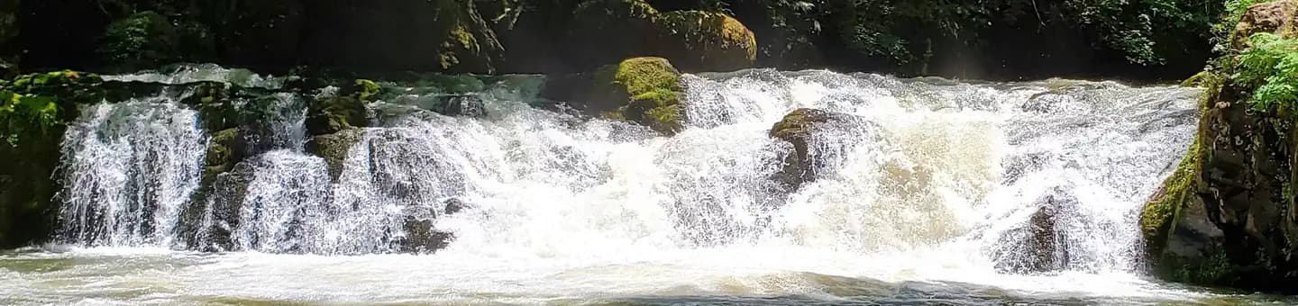 Cavitt Creek Falls Recreation Site in Oregon