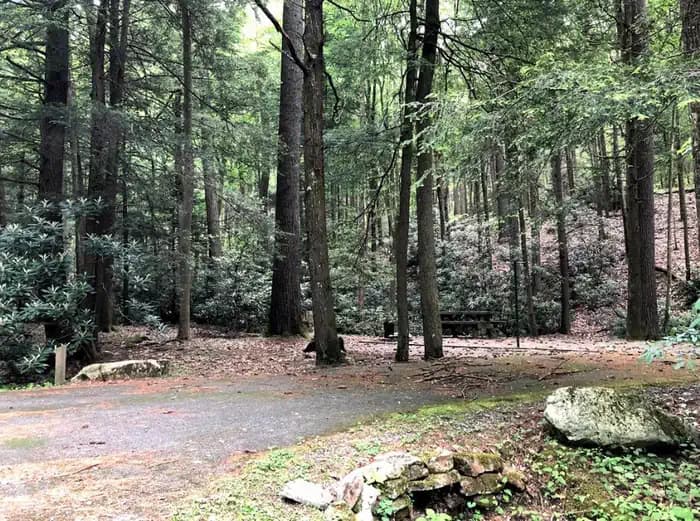 HURRICANE CAMPGROUND campground in Virginia