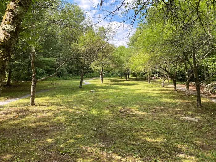 MOOSALAMOO CAMPGROUND campground in Vermont