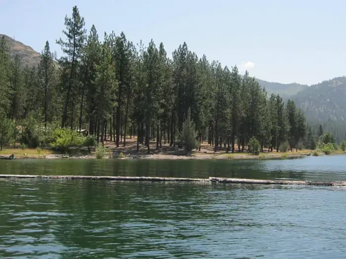Gifford Campground campground in Washington